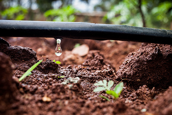 Photo-by-Fintrac-Drip-Irrigation-Technology-is-a-Solution-for-Many-Smallholder-Farmers